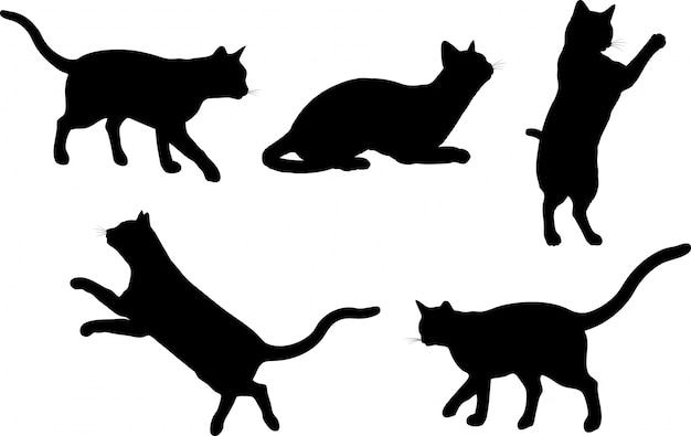 Free vector cats