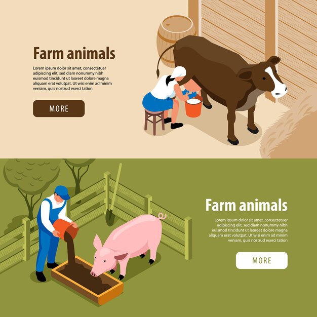 牛の飼養豚を搾乳する労働者との牛農場の家畜動物の水平等尺性ウェブバナー