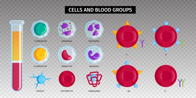 Cells and blood set isolated on transparent surface