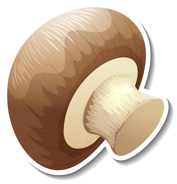 Champignon mushroom sticker on white background