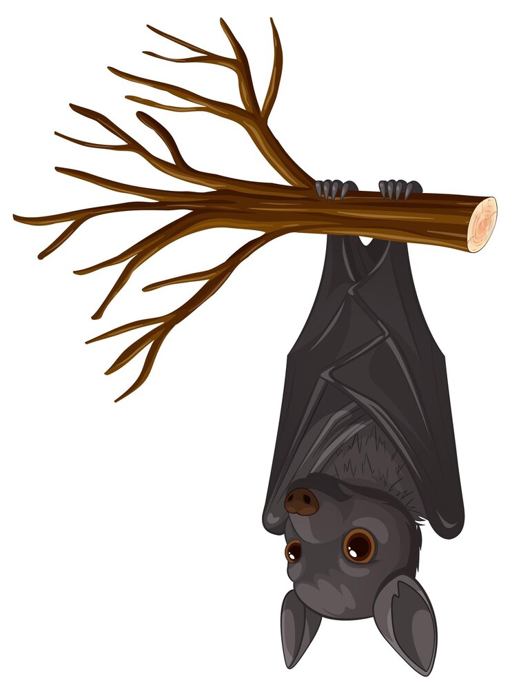 Free Vector charming bat hanging on a tree branch