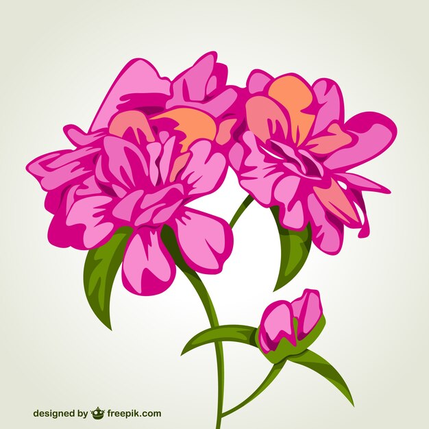 Cheerful pink flowers 