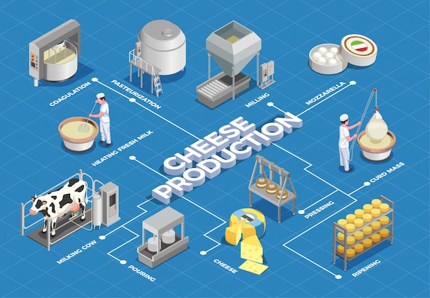 Vettore gratuito diagramma di flusso isometrico di produzione del formaggio illustrato processo dalla resa del latte e pastorizzazione alla pressatura e maturazione fermentanti