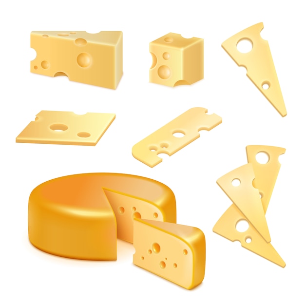 치즈 현실적인 세트