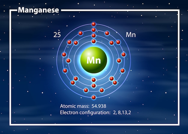 Free vector chemist atom of magganese diagram