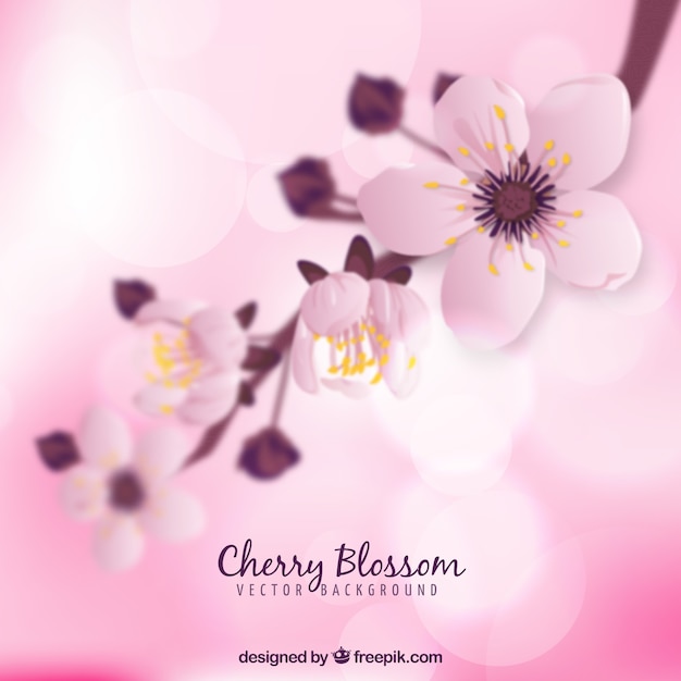 Cherry blossom background in blurred style