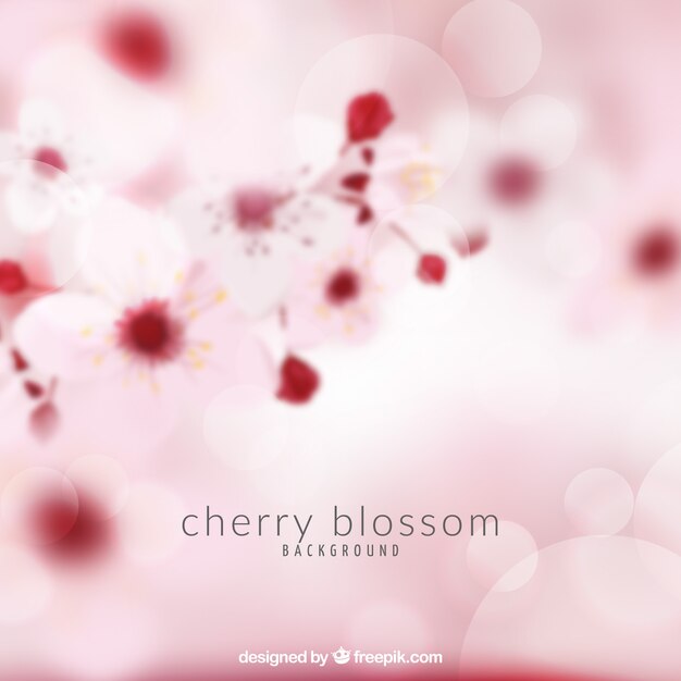 Cherry blossom background in blurred style