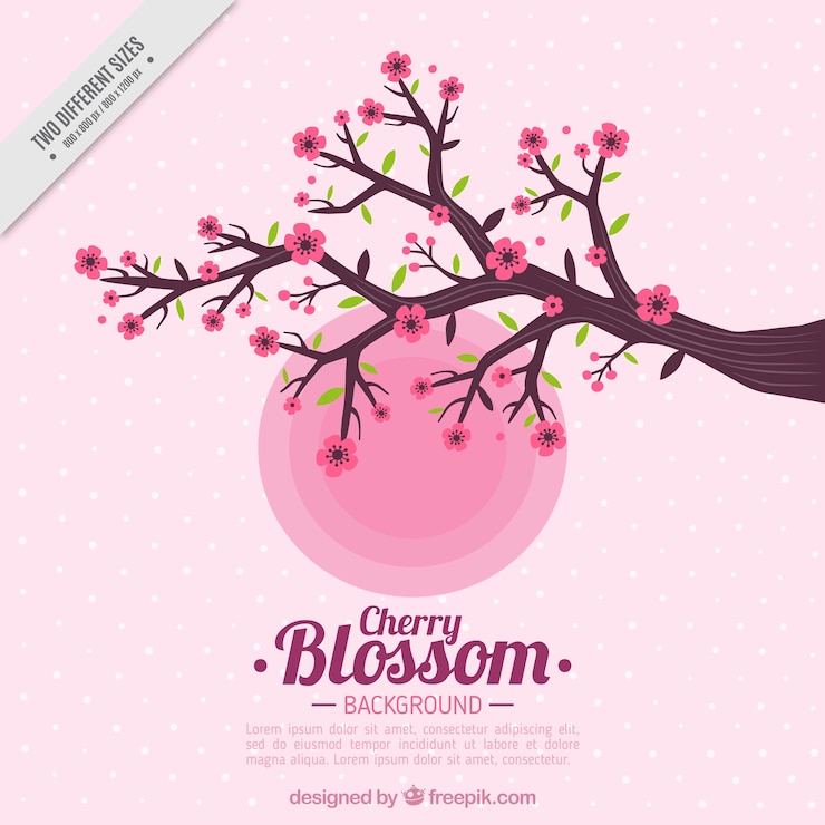 Free Vector cherry blossom background in flat design