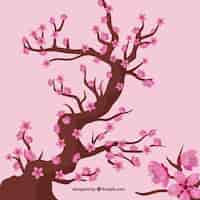 Free vector cherry blossom background in flat design
