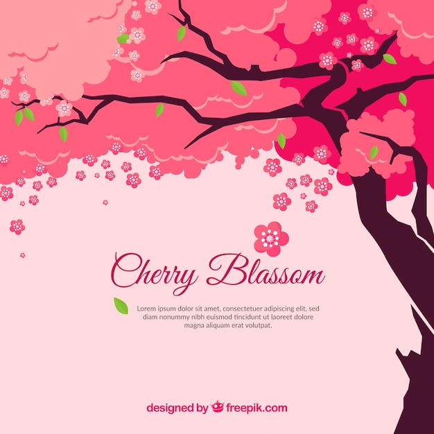 Cherry blossom background in flat style