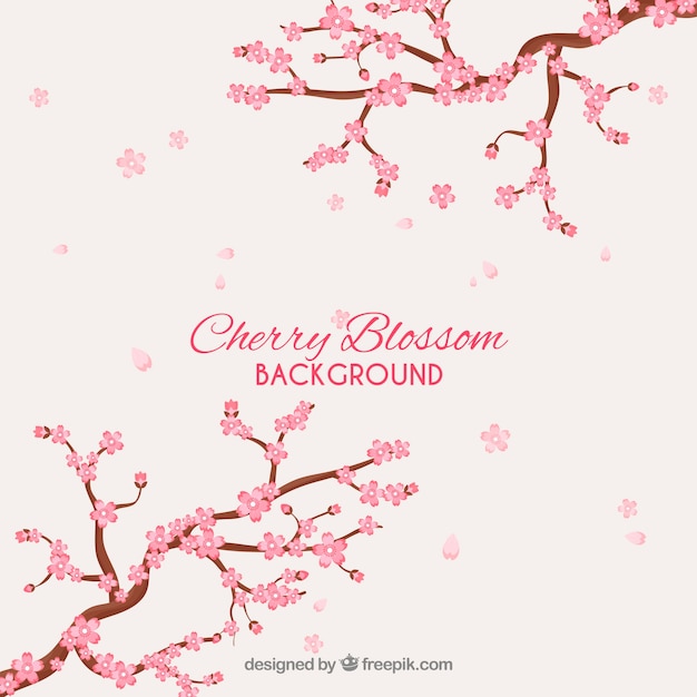 Cherry blossom background in flat style