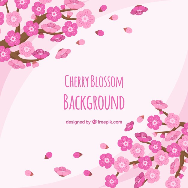 Cherry blossom background in flat style