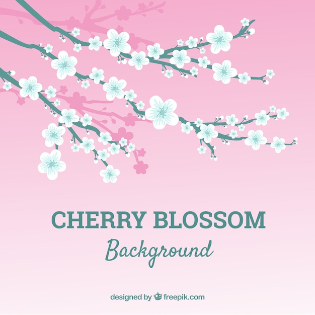 Cherry blossom background in flat style