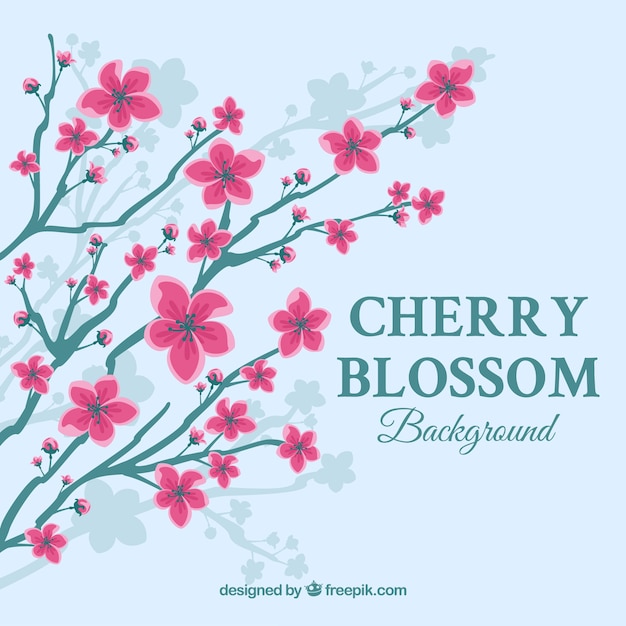 Free vector cherry blossom background in flat style