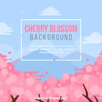 Free vector cherry blossom background in flat style