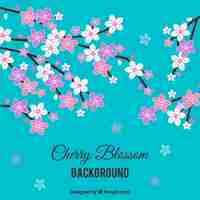 Free vector cherry blossom background in flat style