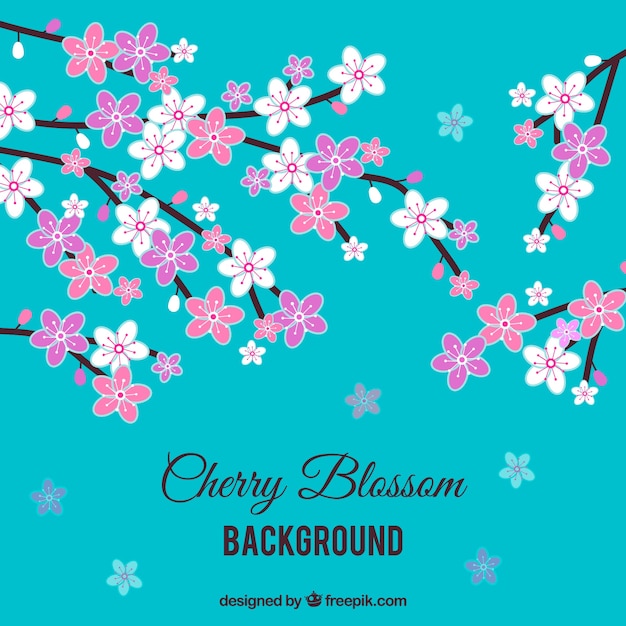 Cherry blossom background in flat style