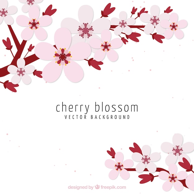 Cherry blossom background in flat style