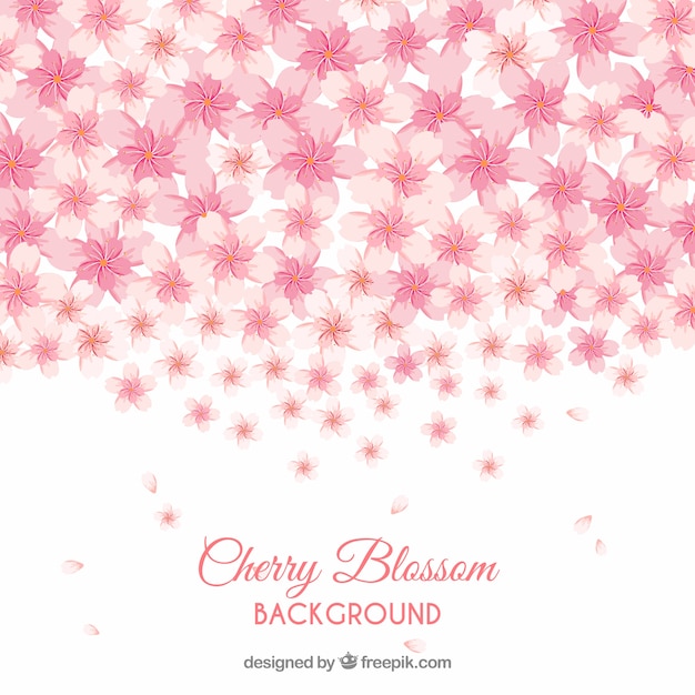 Cherry blossom background in flat style