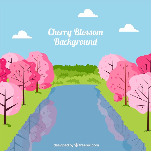 Cherry blossom background in flat style 