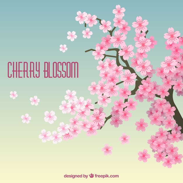 Cherry blossom background in flat style 