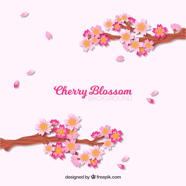 Cherry blossom background in flat style