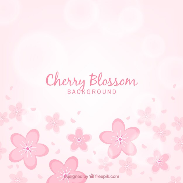 Cherry blossom background in flat style