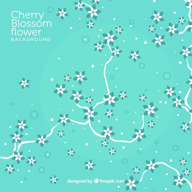 Cherry blossom background in flat style