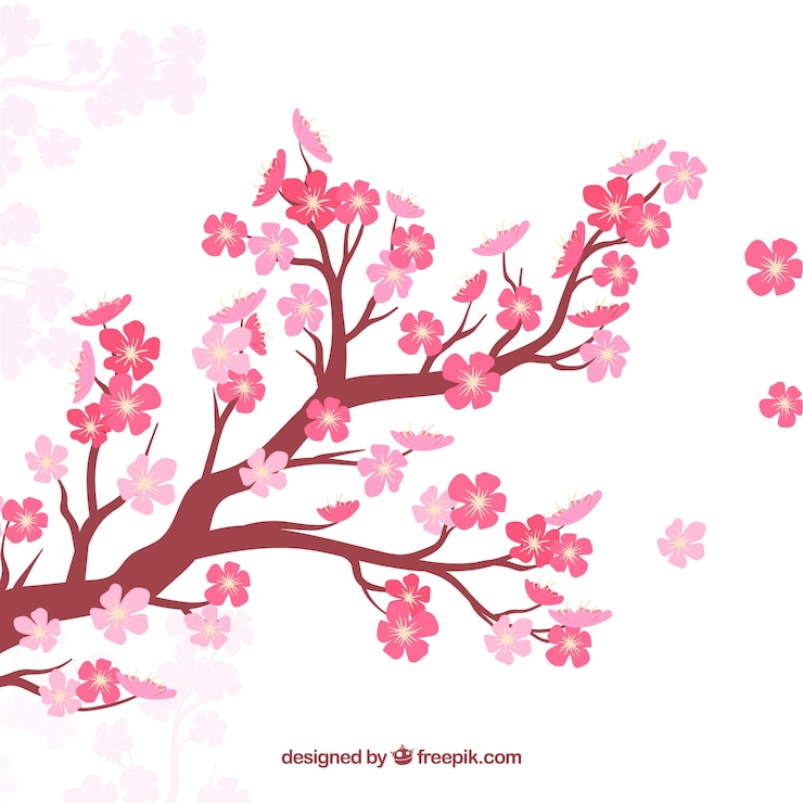 Free Vector cherry blossom background in flat style