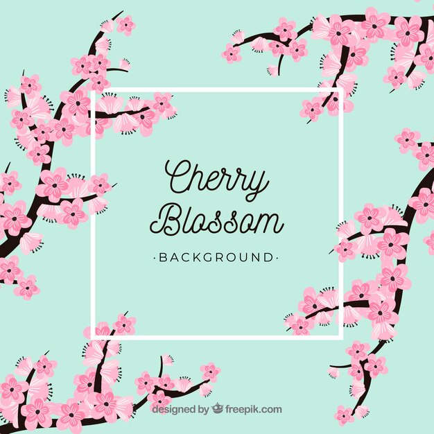 Cherry blossom background in flat style