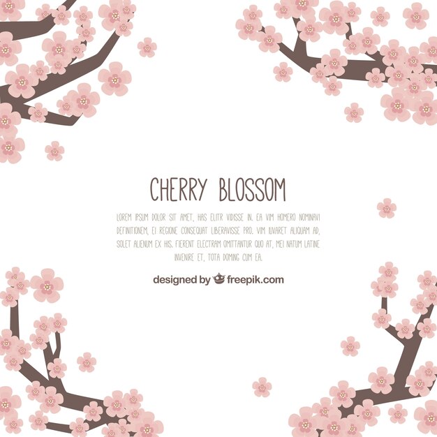 Cherry blossom background in flat style