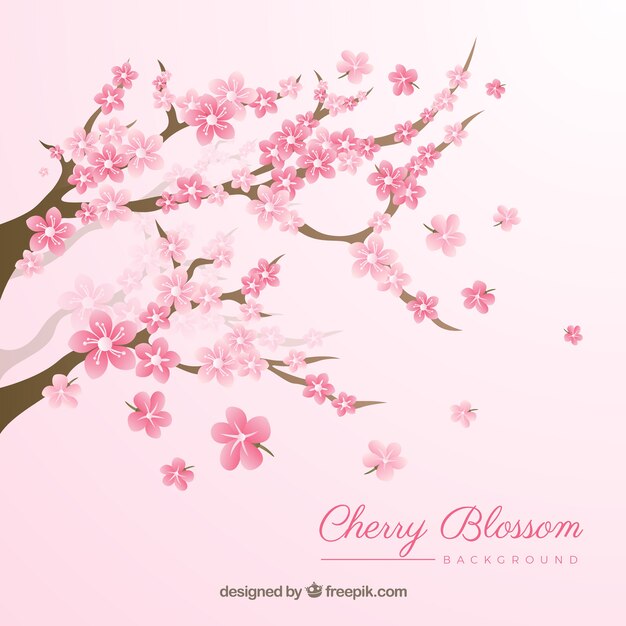 Cherry blossom background in flat style