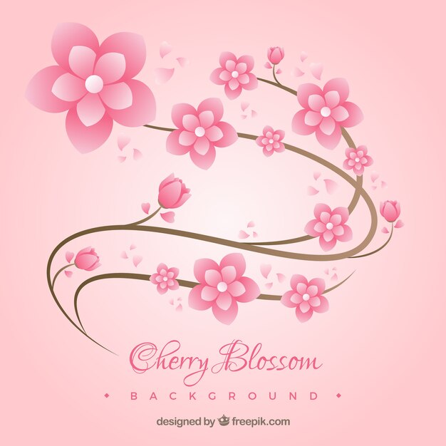 Cherry blossom background in flat style