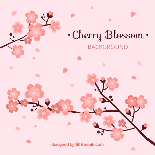 Cherry blossom background in hand drawn style