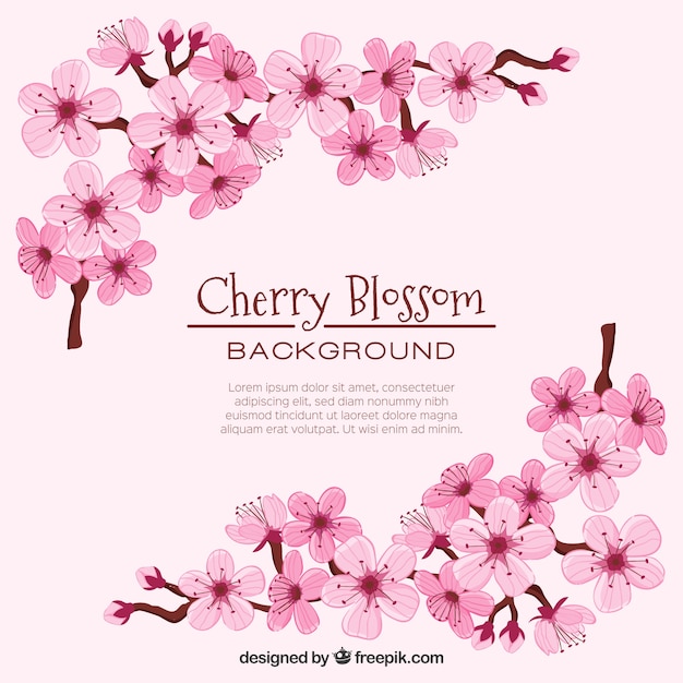 Cherry blossom background in hand drawn style