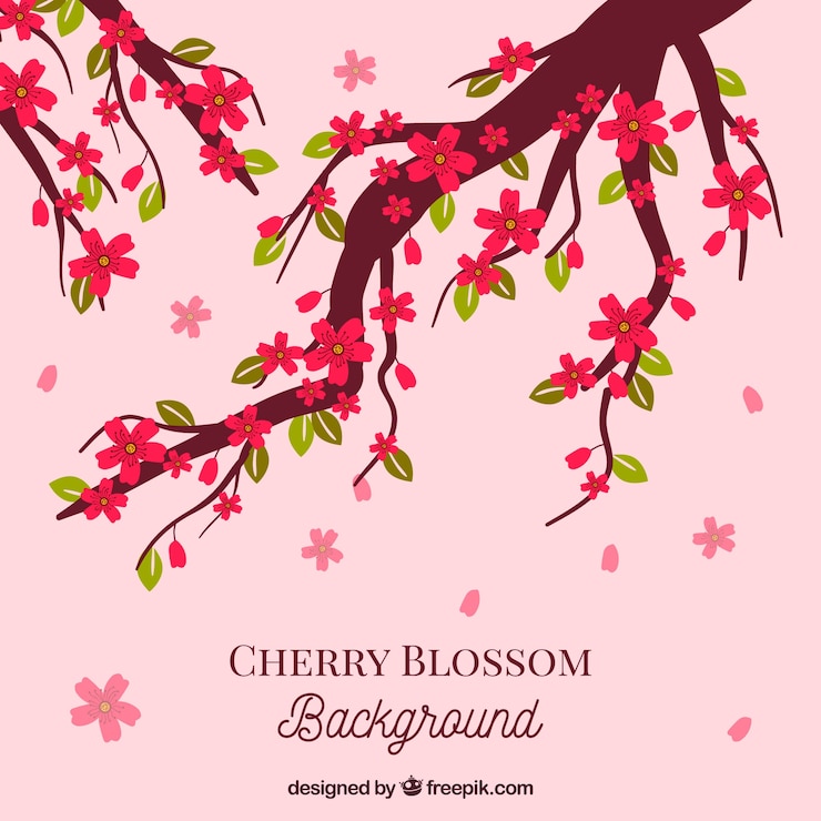 Free Vector cherry blossom background in hand drawn style