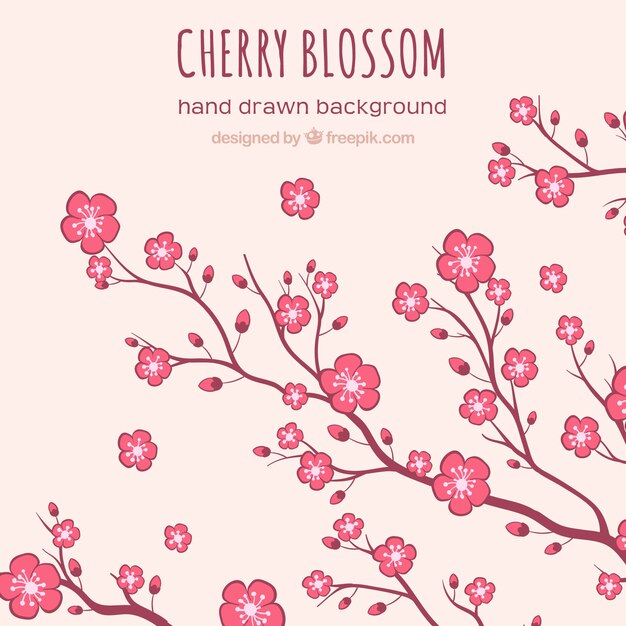 手描きのスタイルで桜の背景
