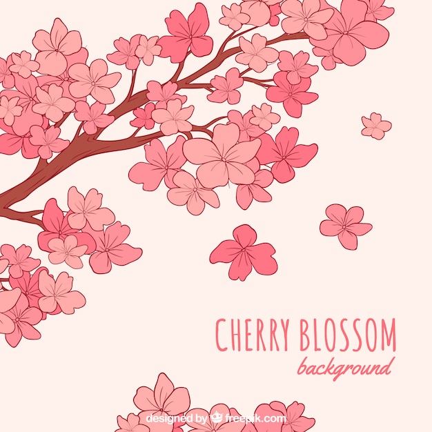 Cherry blossom background in hand drawn style