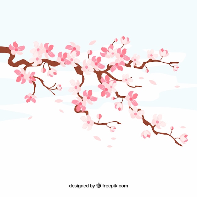 Free vector cherry blossom background in hand drawn style