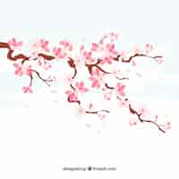 Free vector cherry blossom background in hand drawn style