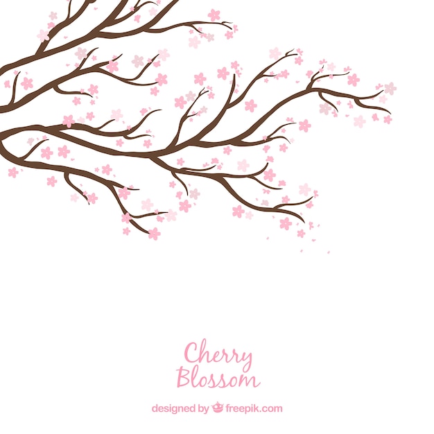 Cherry blossom background in hand drawn style