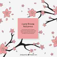 Free vector cherry blossom background in hand drawn style