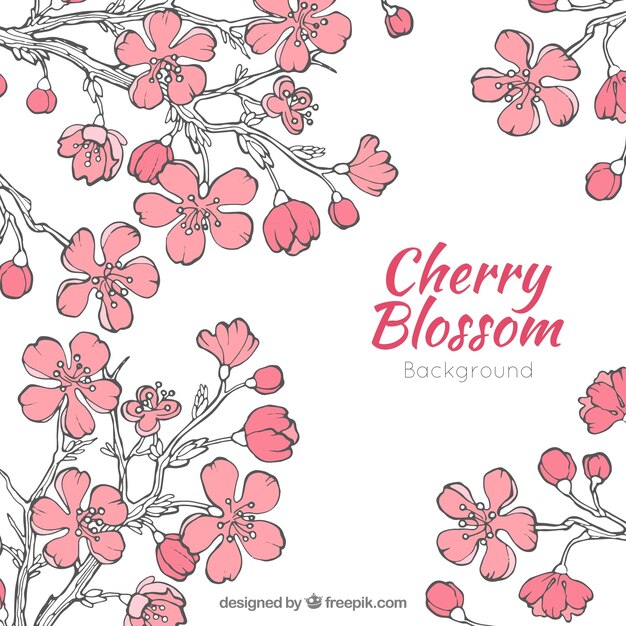 Cherry blossom background in hand drawn style