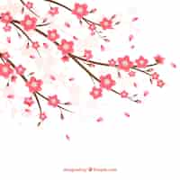 Free vector cherry blossom background in hand drawn style