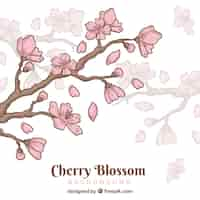 Free vector cherry blossom background in hand drawn style