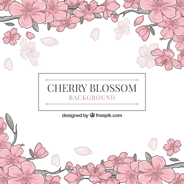 Free vector cherry blossom background in hand drawn style