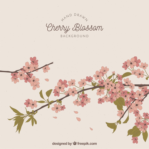 Free vector cherry blossom background in hand drawn style