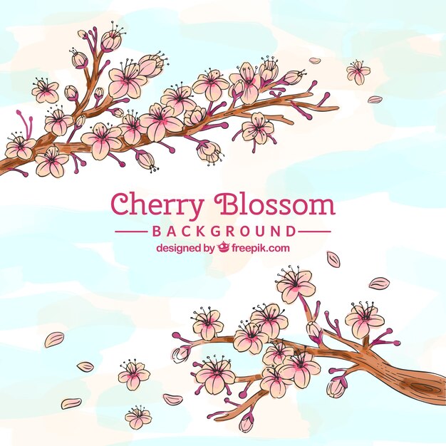 Cherry blossom background in hand drawn style