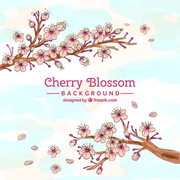 Cherry blossom background in hand drawn style