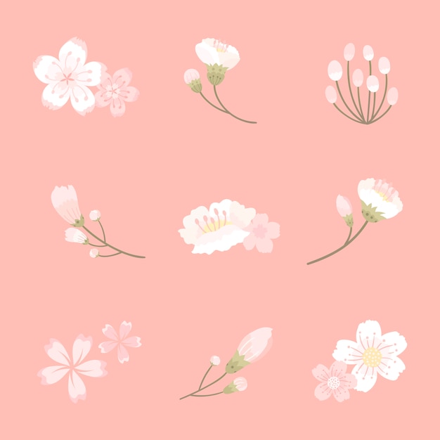 Free Vector cherry blossom background illustration
